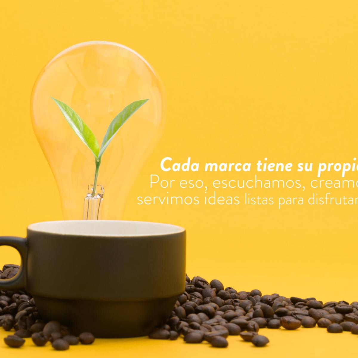 Banner-1 Banner-1